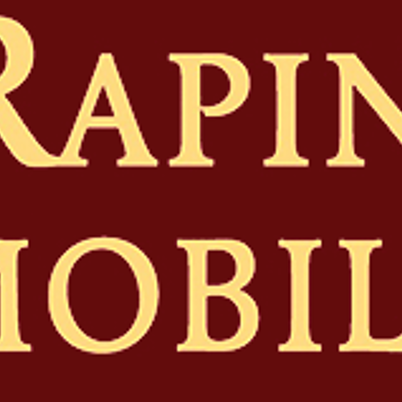 Rapin Immobilier