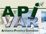 Logo de A.P.I