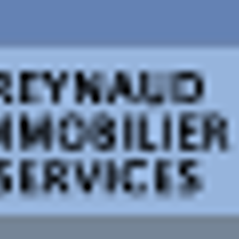 Reynaud Immobilier Services
