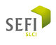 S.E.F.I. - Groupe Slci agence immobilière Lyon 7 (69007)