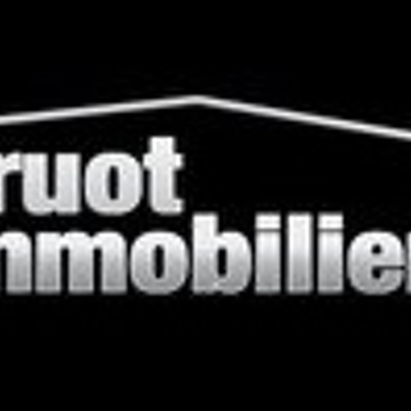 Druot Immobilier