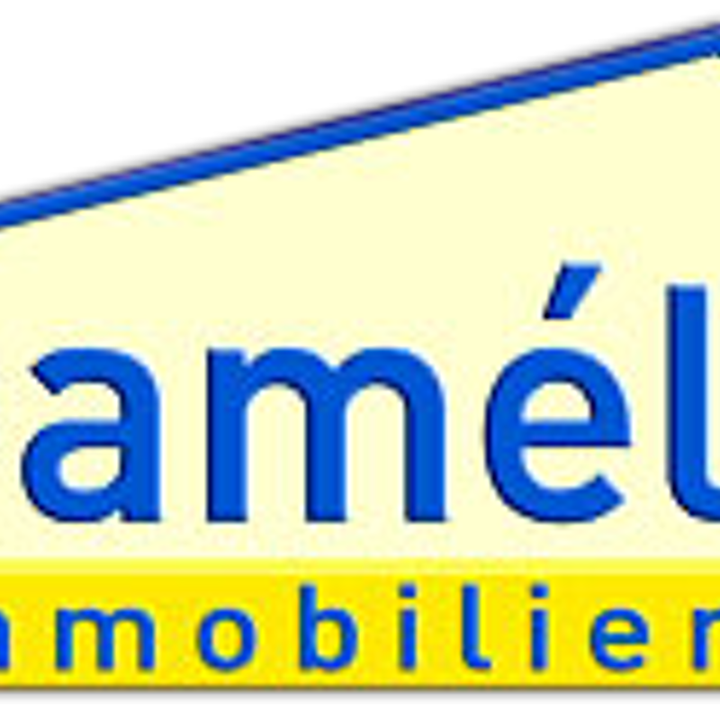 Damély Immobilier