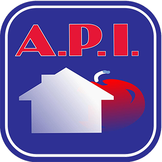 Logo de API  - Ariège Pyrénées Immobilier