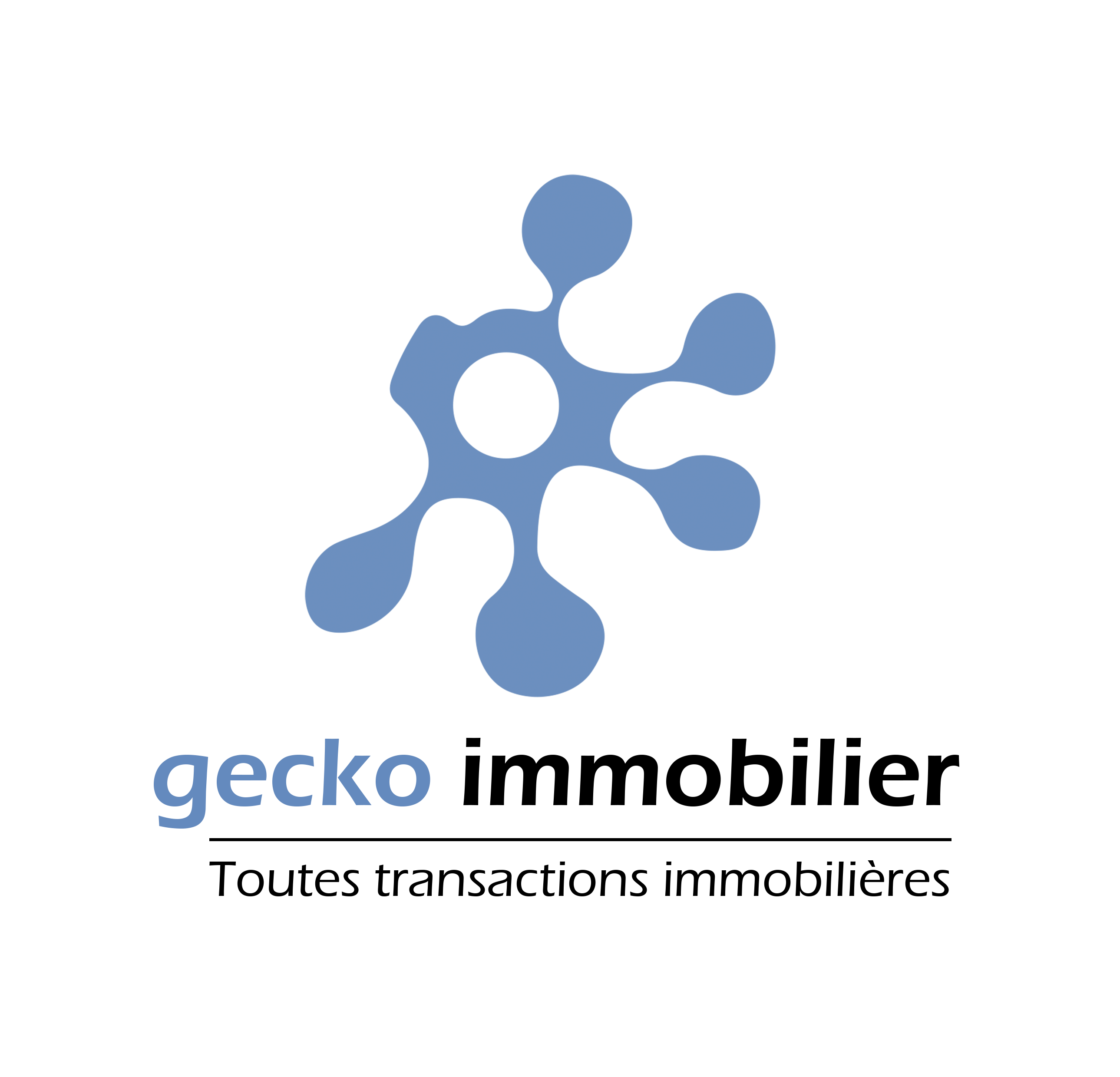 Logo de Gecko Immobilier