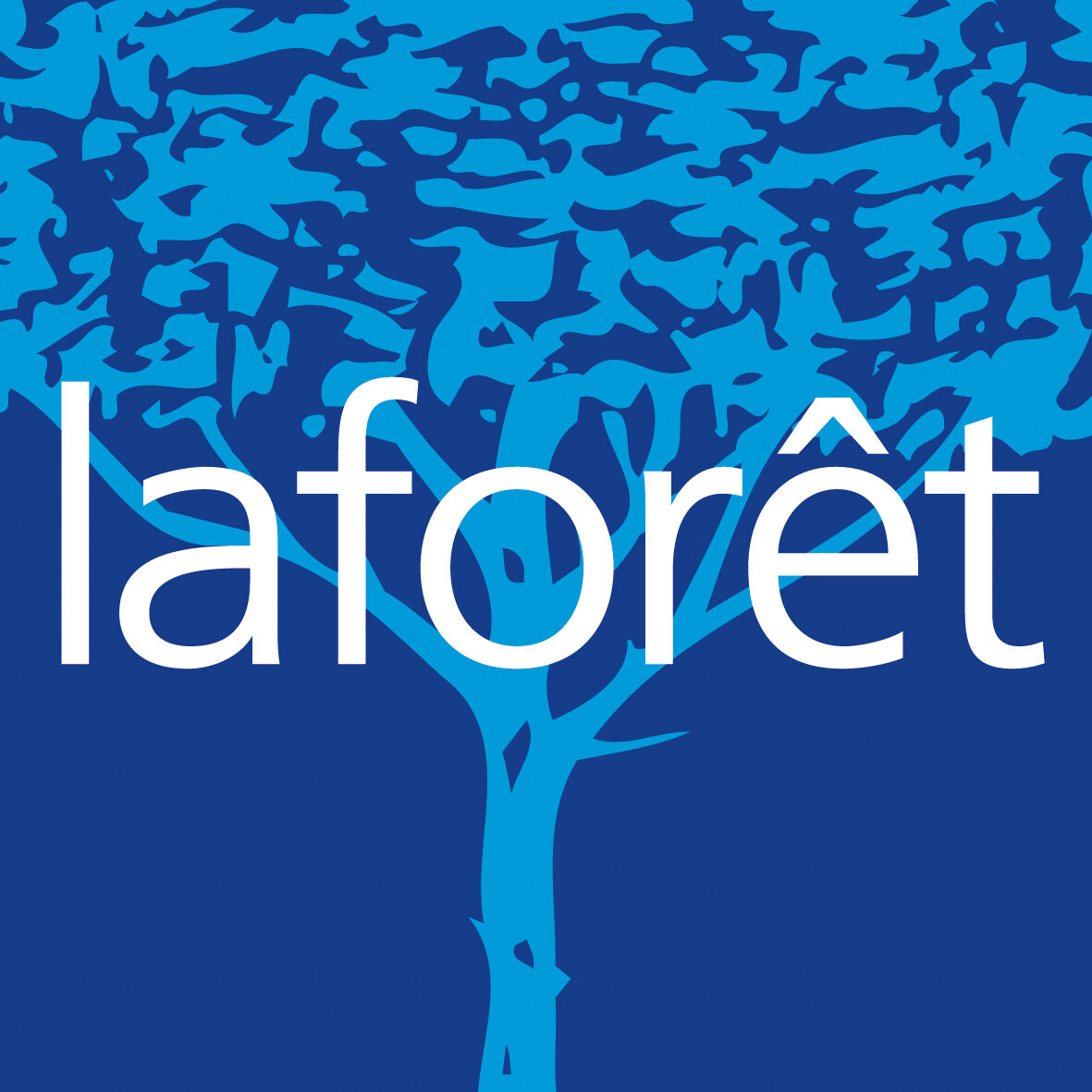 Logo de Laforêt Capbreton