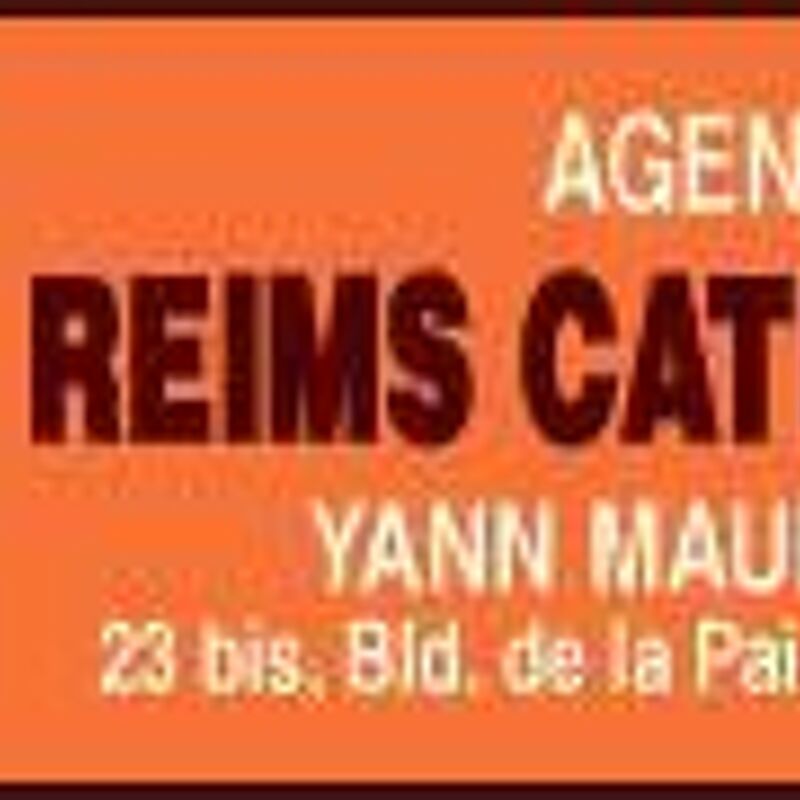 Agence Reims Cathedrale