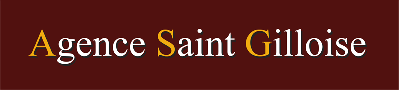 Logo de Agence St Gilloise