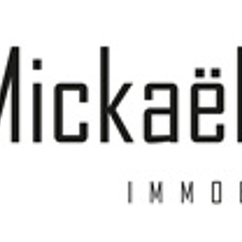 MICKAËL FRAISSE IMMOBILIER