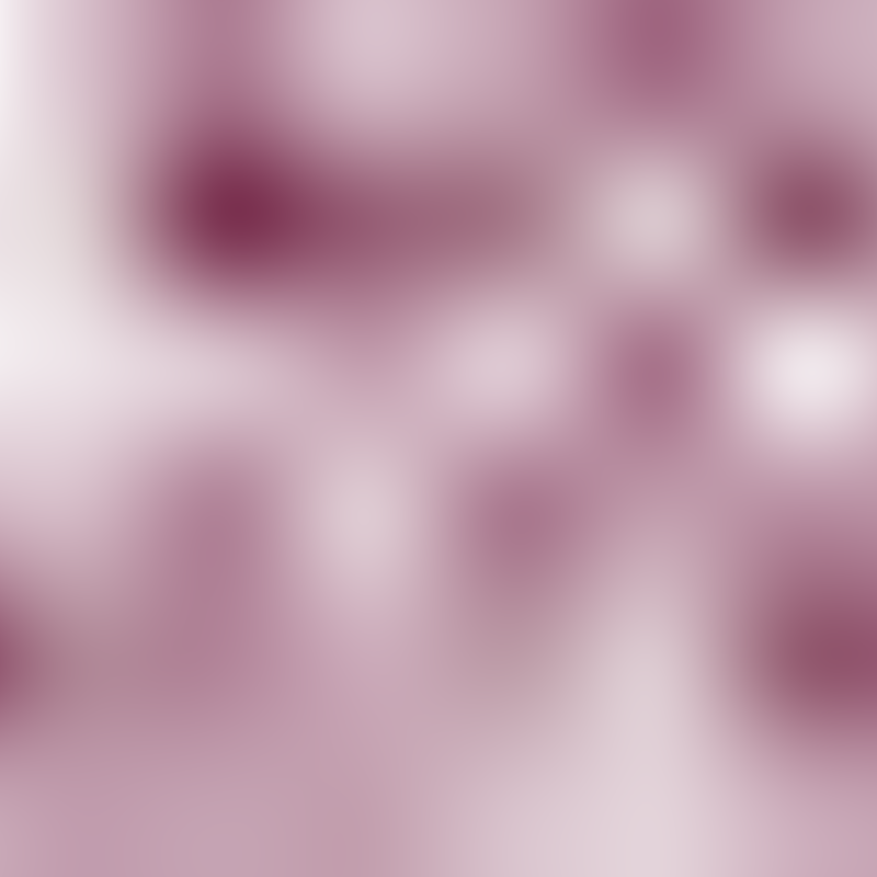 Les Nouveaux Constructeurs