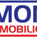 Logo Damonte Immobilier