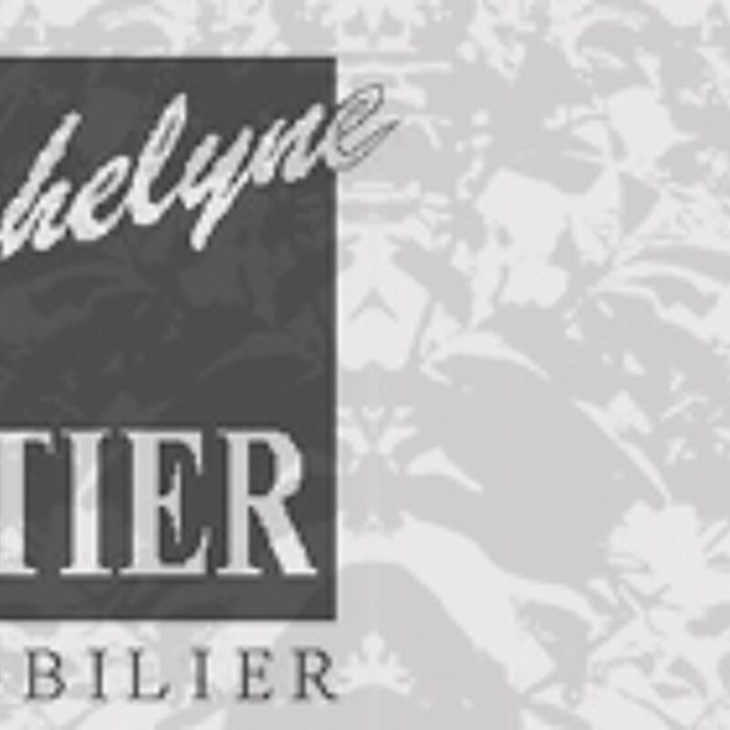 Michelyne Astier Immobilier