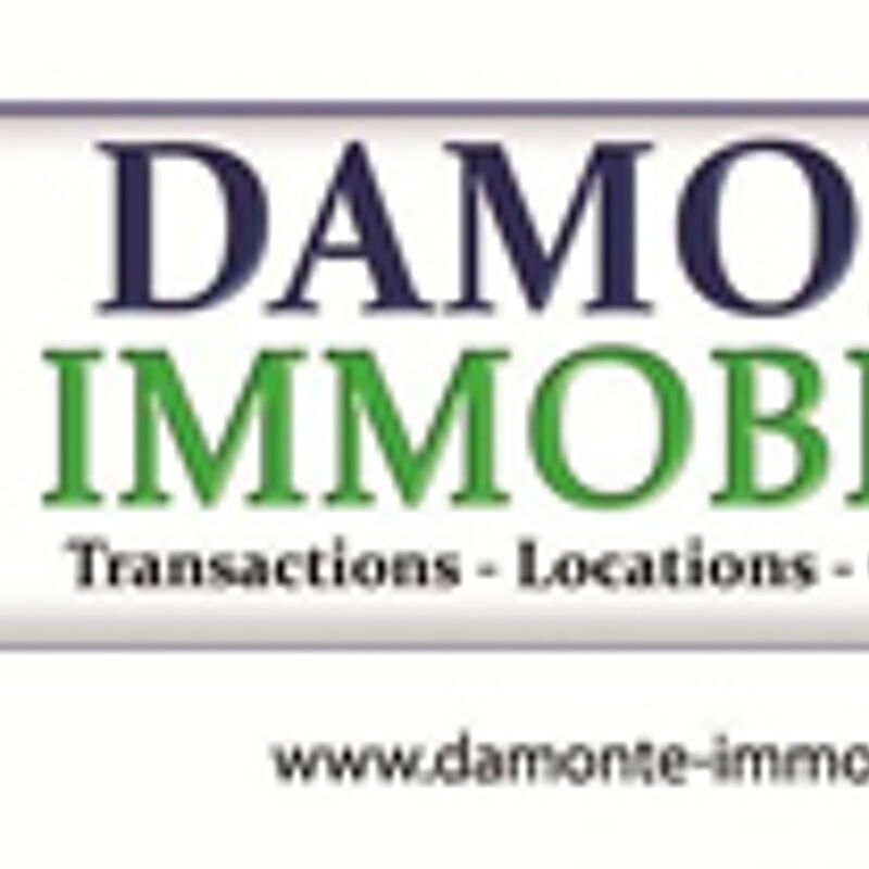 Damonte Immobilier
