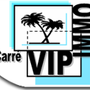 Logo Carre Vip Immo