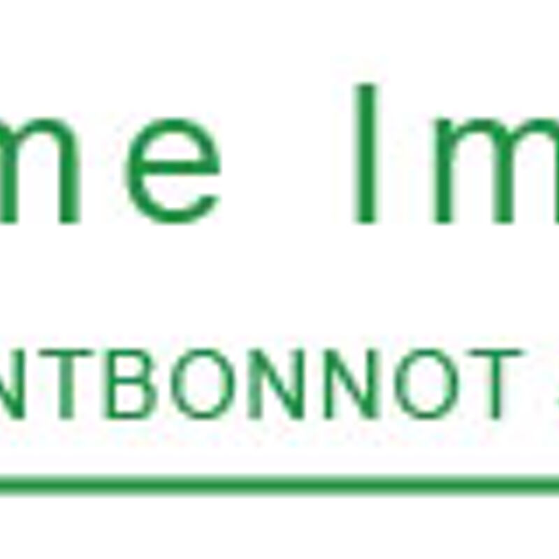 Dôme immobilier