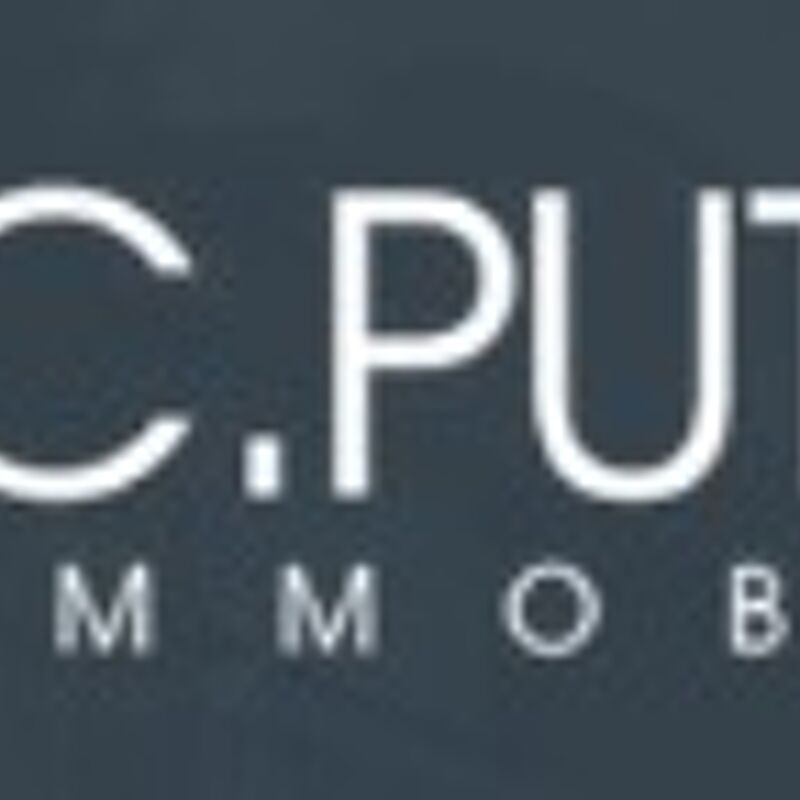 C.Puthier Immobilier