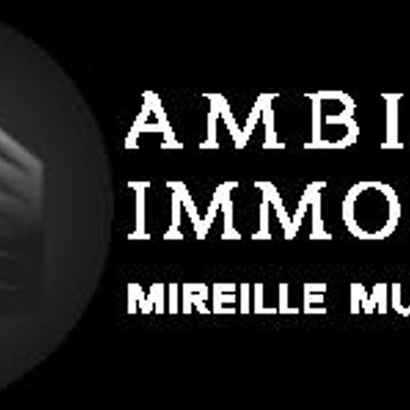 Ambiance Immobilier