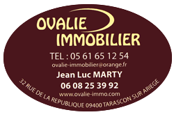 Logo de Ovalie Immobilier