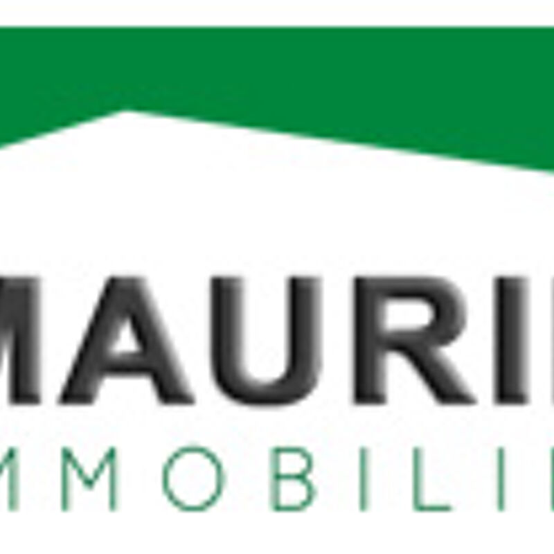 Maurin Immobilier