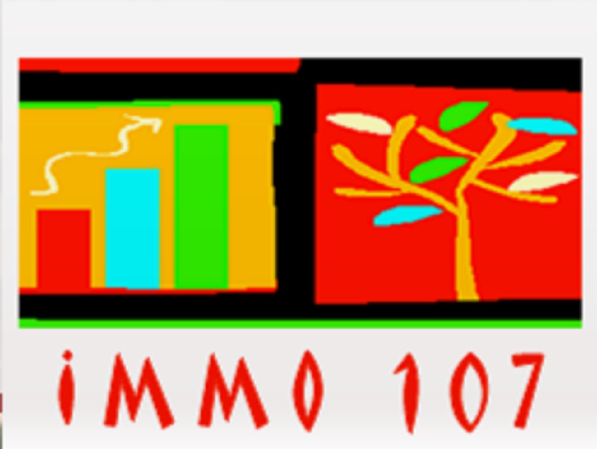 Logo Immo 107