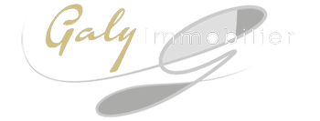 Logo de Galy Immobilier