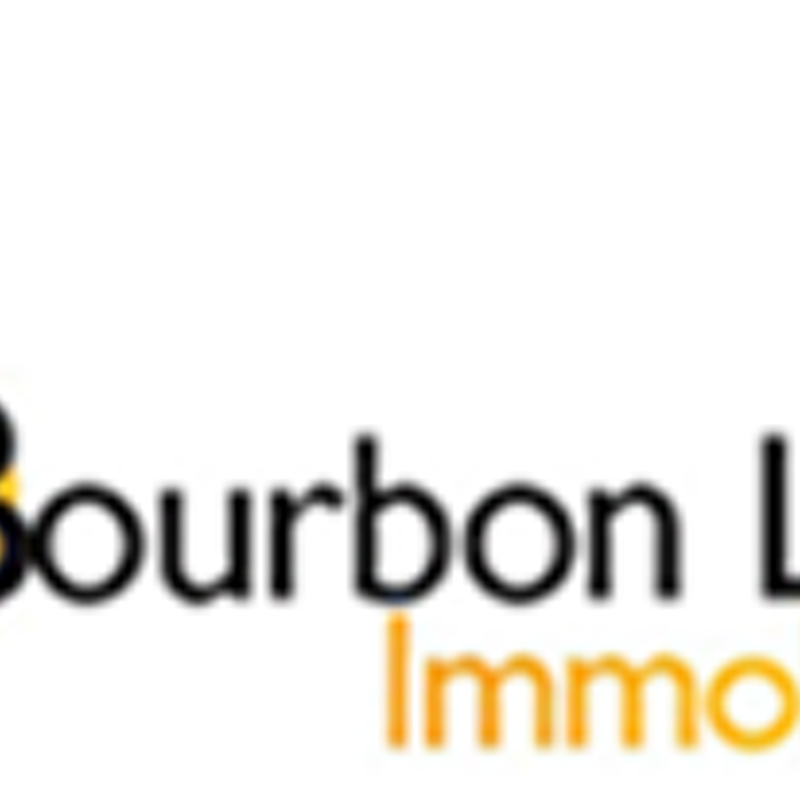 Bourbon Lancy Immobilier