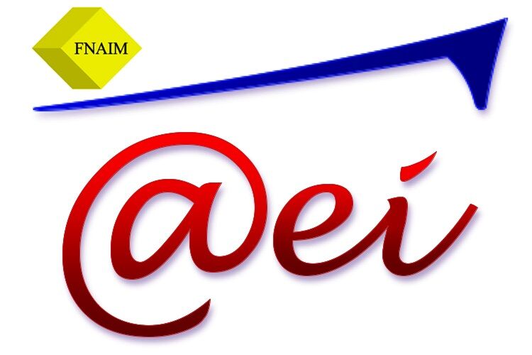 Logo de Agence Européenne Immobilière - Gien