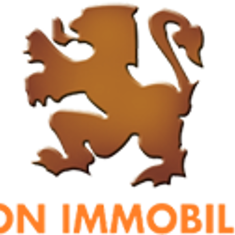 Lyon Immobilier