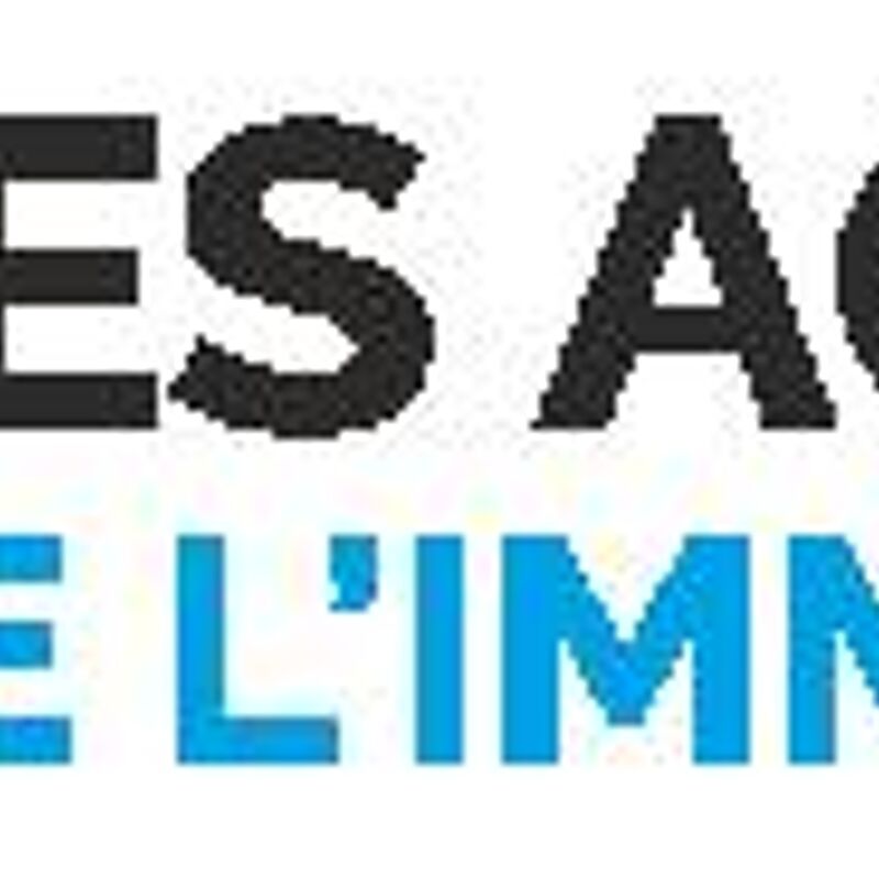 Les Agents de l'Immobilier a Montrouge