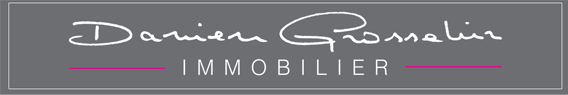 Damien Grosselin Immobilier
