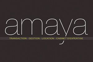 Logo de Amaya Gestion