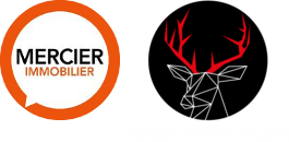 Logo de Dufossé Immobilier