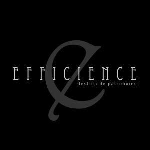 Logo de Efficience Groupe