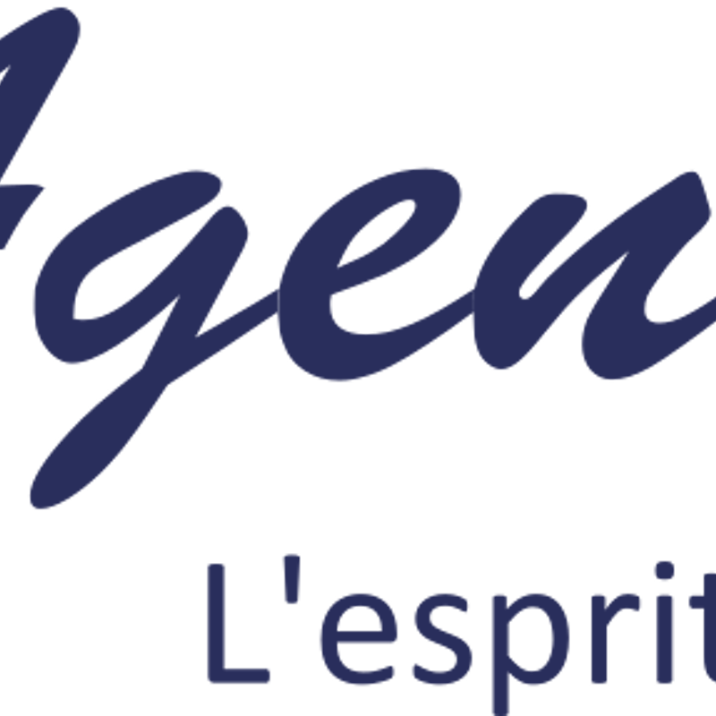L'agence D l'esprit immobilier Digoin