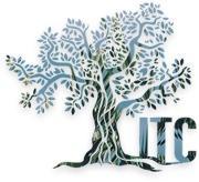 Logo Itc Transactions