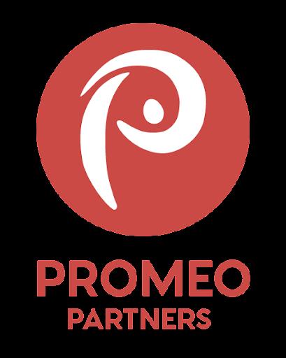 Logo de Promeo Partners, professionnel de l’immobilier à Sète