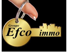 Logo de Efco Immo, professionnel de l’immobilier à Bartenheim