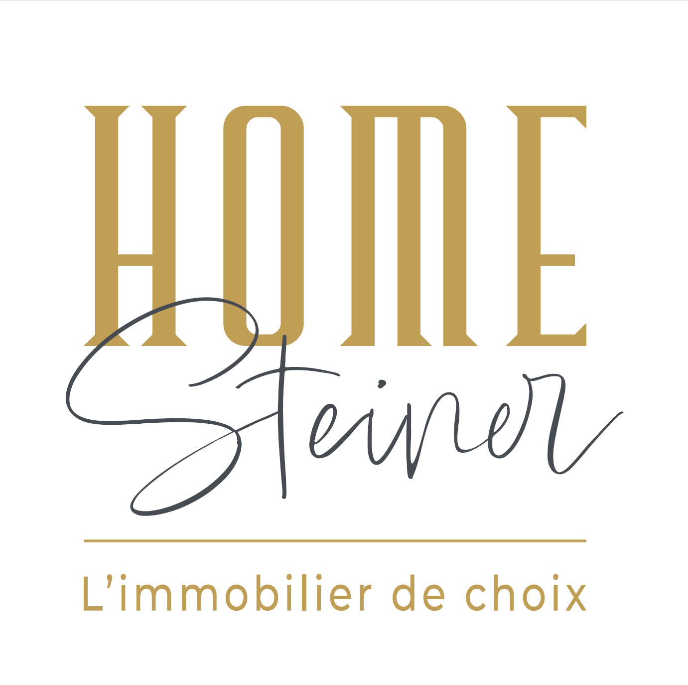 Logo de Home Steiner