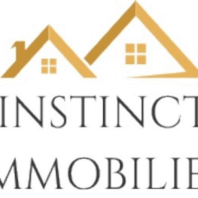 Instinct Immobilier