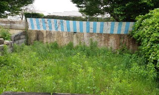Photo N° 6