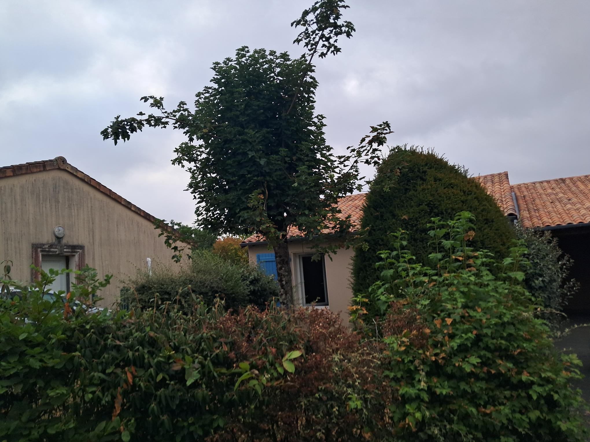 Maison 64 m²