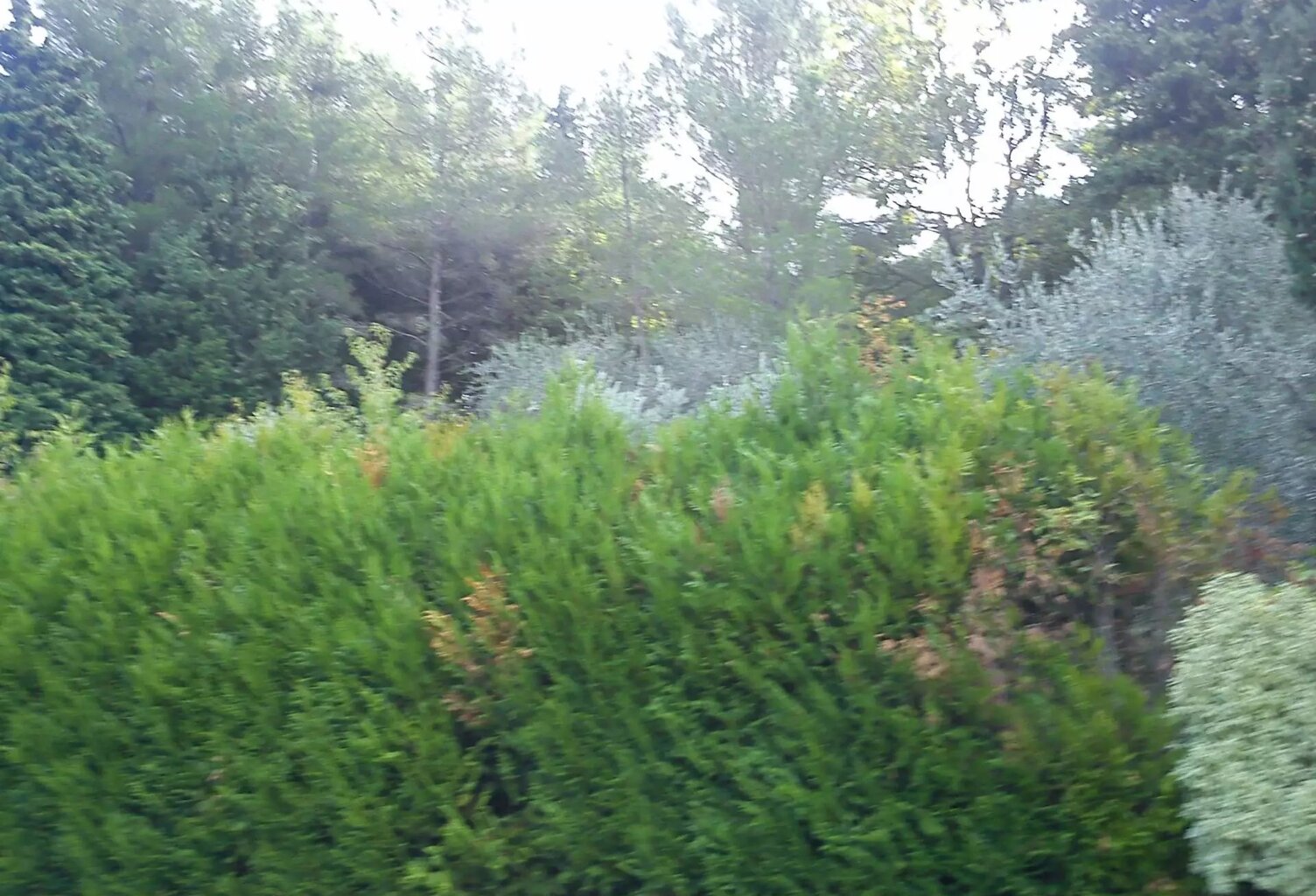 Vente maison  160 m² Châteauneuf-Grasse (06740) — photo 1