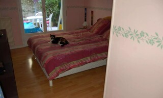 Photo N° 5