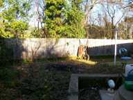 Dans impasse, maison de plain pied avec piscine, environnement b — photo 4
