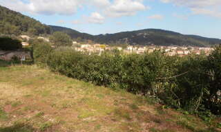 Terrain  730 m² à vendre à Solliès-Pont (83210)