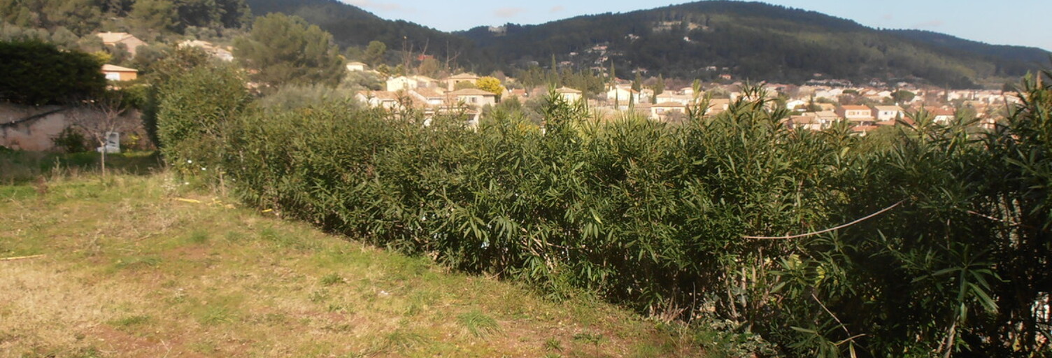 Terrain  730 m² à vendre à Solliès-Pont (83210)