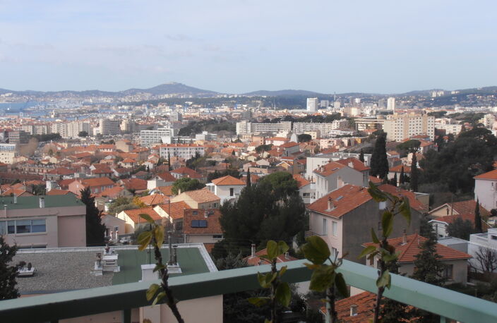 Toulon Bas Faron: Type 3 en excellent état — photo 3