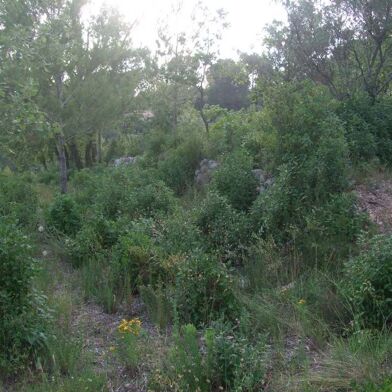 Terrain  190000 €