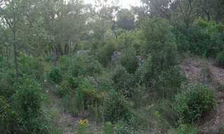 Terrain  1214 m² à vendre à Cuers (83390)