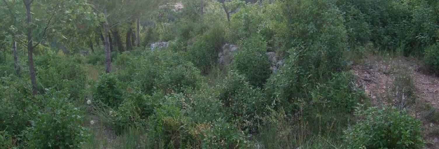 Terrain  1214 m² à vendre à Cuers (83390)