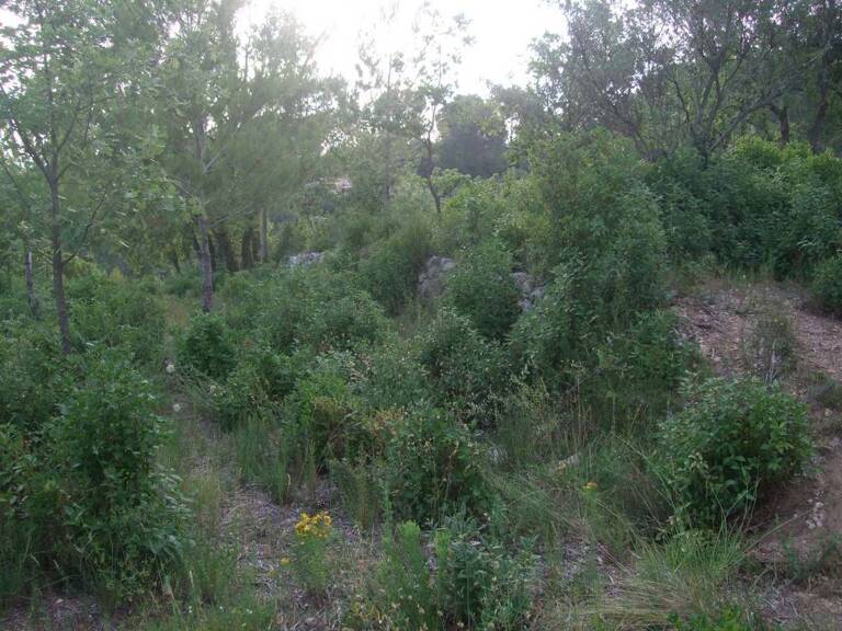Terrain constructible Cuers — photo 1